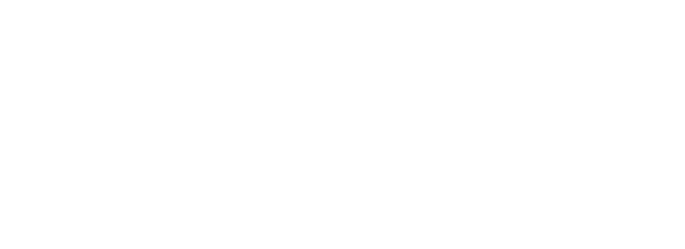 Patch Dudes